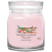 Yankee Candle - Desert Blooms Signature Candle - Vonná svíčka 368.0g