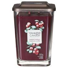 Yankee Candle - Elevation Candied Cranberry Candle ( kandované brusinky ) - Vonná svíčka 552.0g