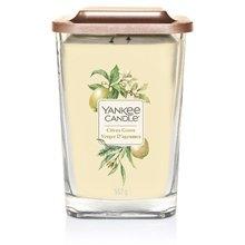 Yankee Candle - Elevation Citrus Grove Candle - Scented candle 552.0g