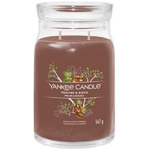 Yankee Candle - Praline & Birch Signature Candle ( pralinka a bříza ) - Vonná svíčka 368.0g