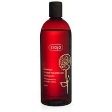 Ziaja - Sunflower Shampoo - Šampon pro barvené vlasy 500ml